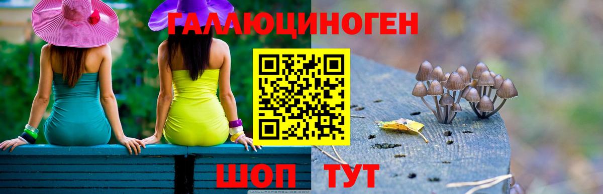 Псилоцибиновые грибы Magic Shrooms Гудермес